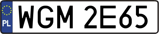 WGM2E65