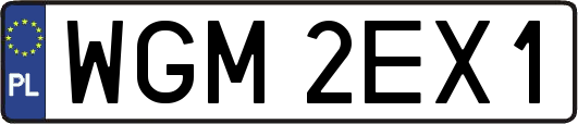 WGM2EX1
