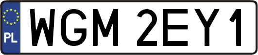 WGM2EY1