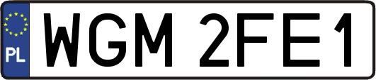 WGM2FE1