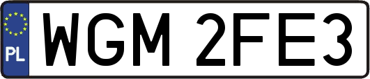 WGM2FE3