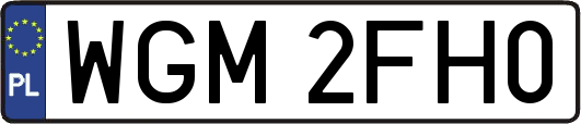 WGM2FH0