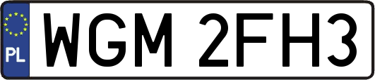 WGM2FH3