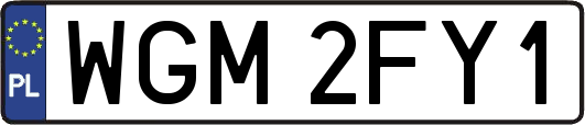 WGM2FY1