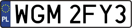 WGM2FY3