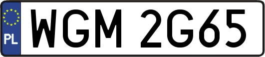 WGM2G65