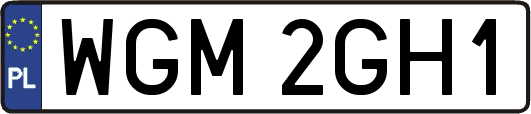 WGM2GH1