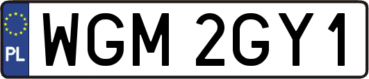 WGM2GY1