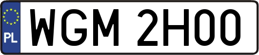 WGM2H00