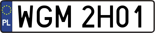 WGM2H01