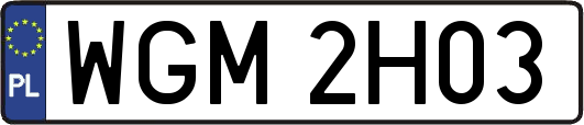 WGM2H03