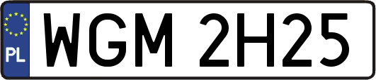 WGM2H25