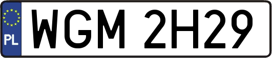 WGM2H29