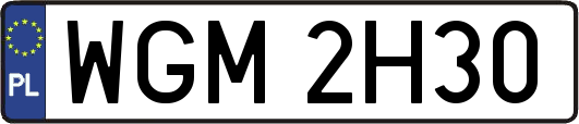WGM2H30