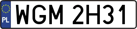 WGM2H31
