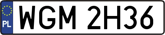 WGM2H36