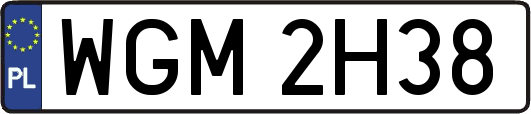 WGM2H38