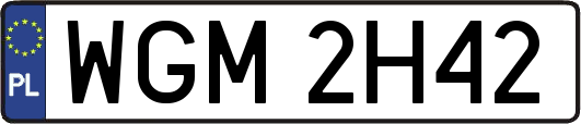 WGM2H42
