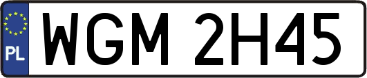 WGM2H45