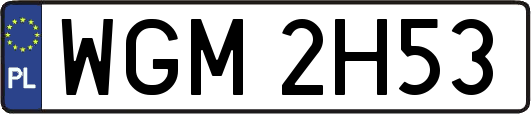 WGM2H53