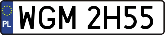 WGM2H55