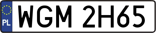 WGM2H65