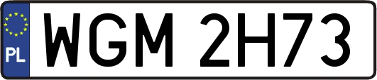 WGM2H73