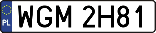 WGM2H81
