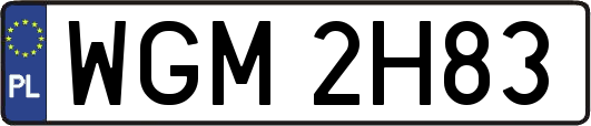 WGM2H83
