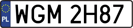 WGM2H87