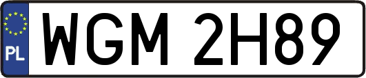 WGM2H89
