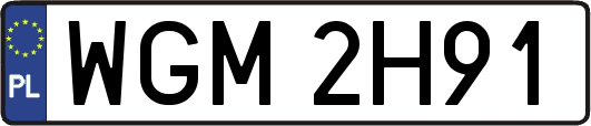 WGM2H91