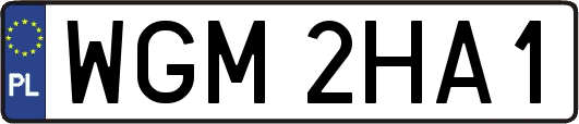 WGM2HA1
