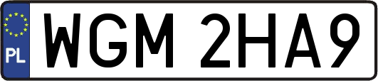 WGM2HA9