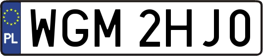 WGM2HJ0