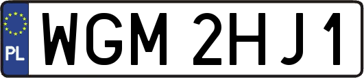 WGM2HJ1
