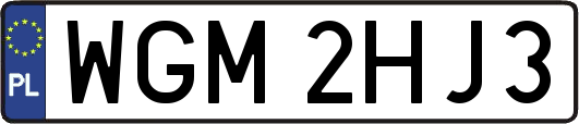 WGM2HJ3