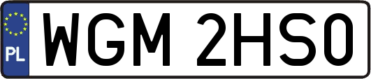 WGM2HS0