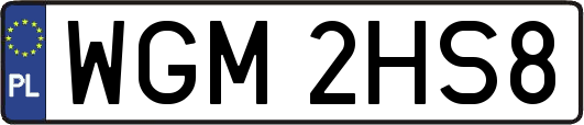WGM2HS8