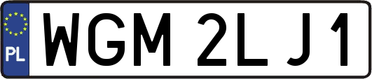 WGM2LJ1