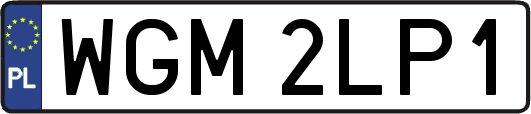 WGM2LP1