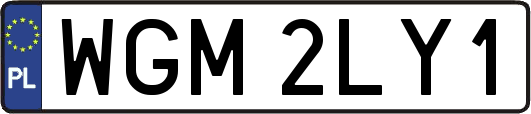 WGM2LY1