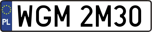 WGM2M30