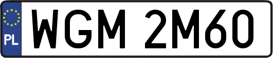 WGM2M60