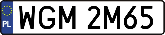 WGM2M65