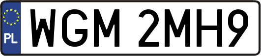 WGM2MH9
