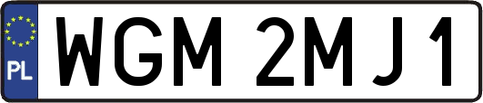 WGM2MJ1