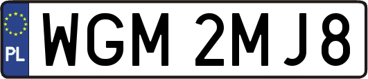 WGM2MJ8