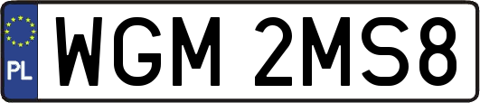 WGM2MS8