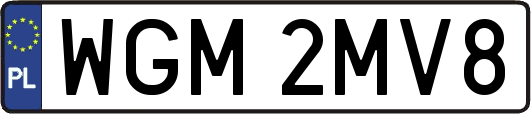 WGM2MV8